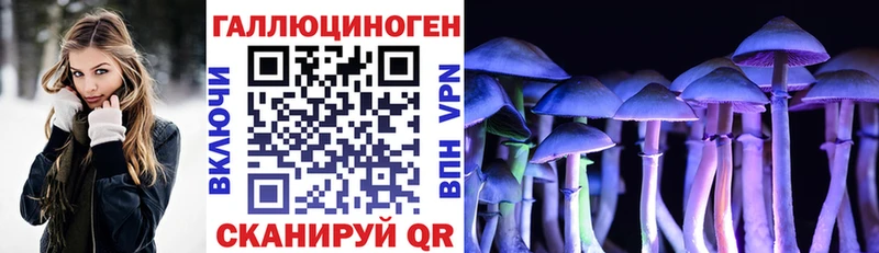 Галлюциногенные грибы Magic Shrooms цена Пущино